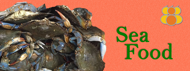 Seafood